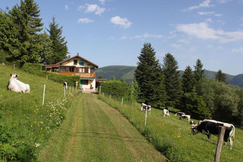 Zwischen Elsass und Vogesen, gite in einem schönen Chalet. - foto 11