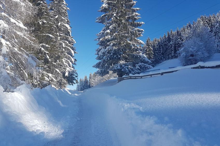 in Strassen mit Privatem Pool - foto 79