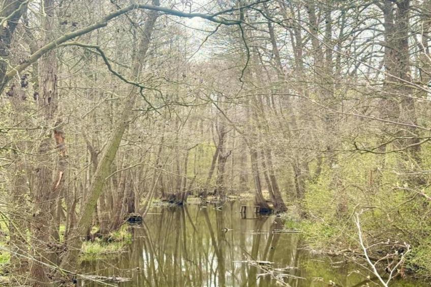 Holiday home Maryna - foto 23