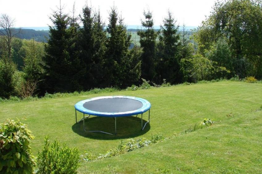 Snowview Lodge - foto 13