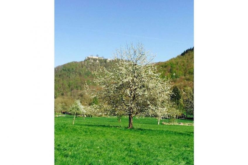 186922 - foto 2