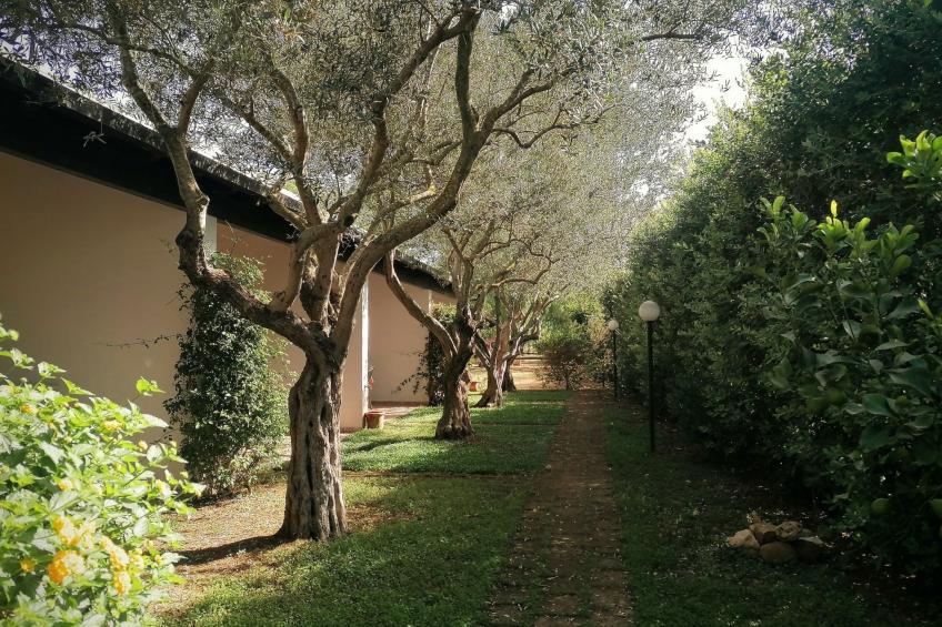 in Marsala mit Terrasse, gemeinschaftlichem Pool und Grill - foto 14