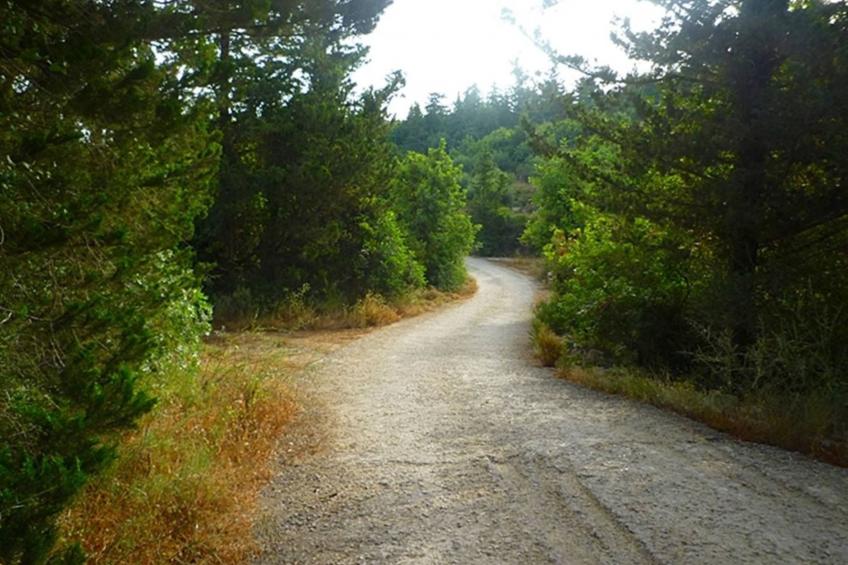 Gruppenunterkunft auf Kreta - separate Häuser - foto 16