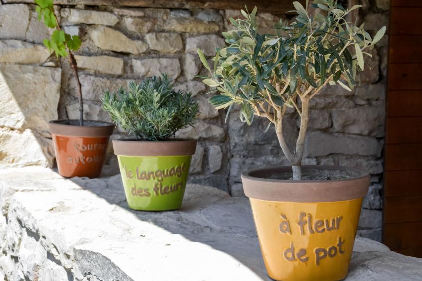 Domäne "Pavillon Mathéo" mit Infinity-Pool - foto 18