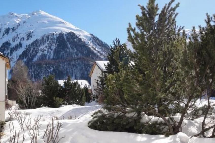 Chesa Palü - foto 7