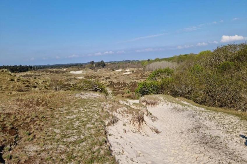 Parel aan de Duinen 8p - foto 38