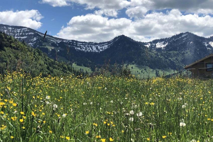 Schön Hier - foto 21
