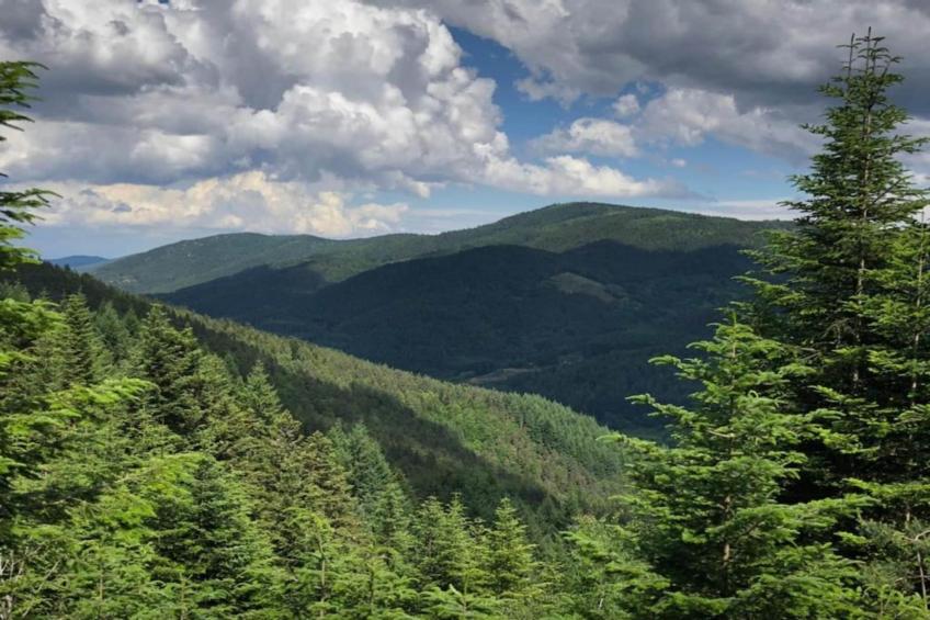 A Beautiful Stone farmhouse - foto 36