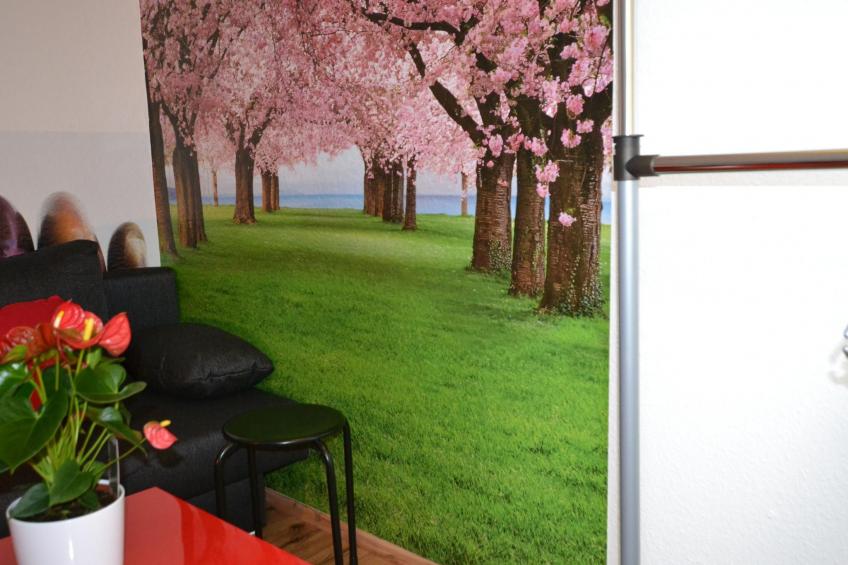 Großzügige Ferienwohnung mit Terrasse - foto 19