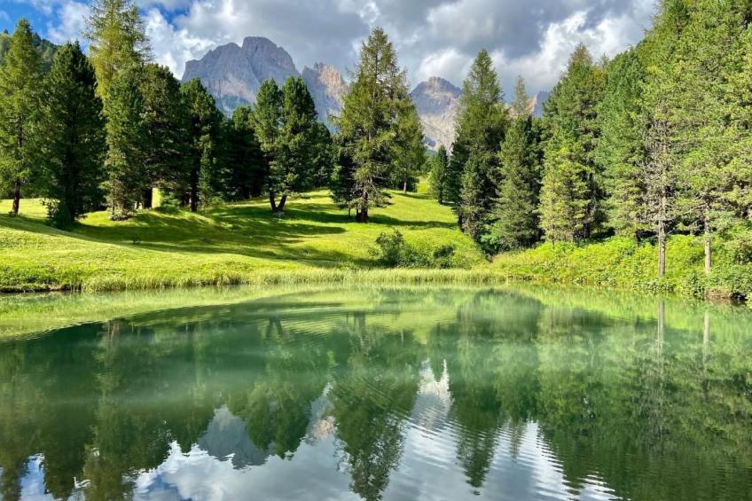 Cesa Vedla DOLOMITES - foto 23