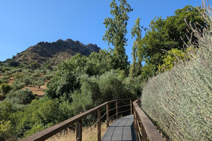 Gemütliches Landhaus Betania in Grazalema - foto 23