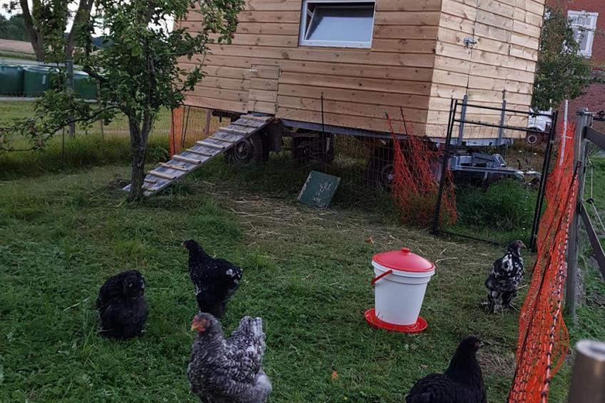 Westrich in guter Ausflugslage - foto 31