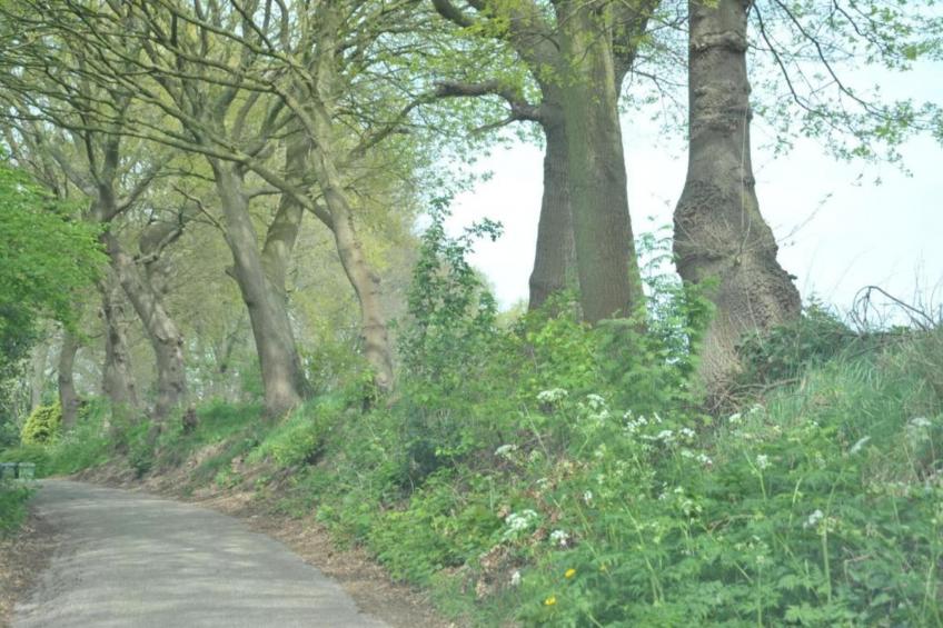 Resort Waterrijk Oesterdam 4 - foto 29