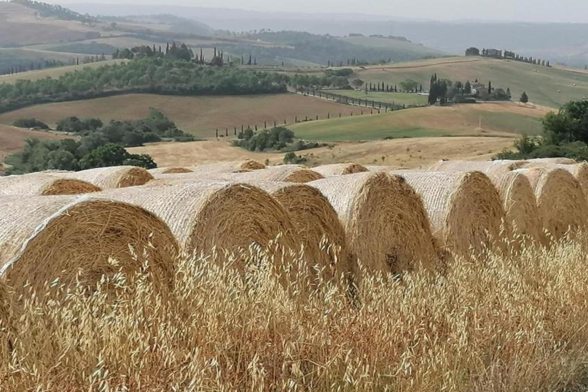 Villa La Felce - foto 40