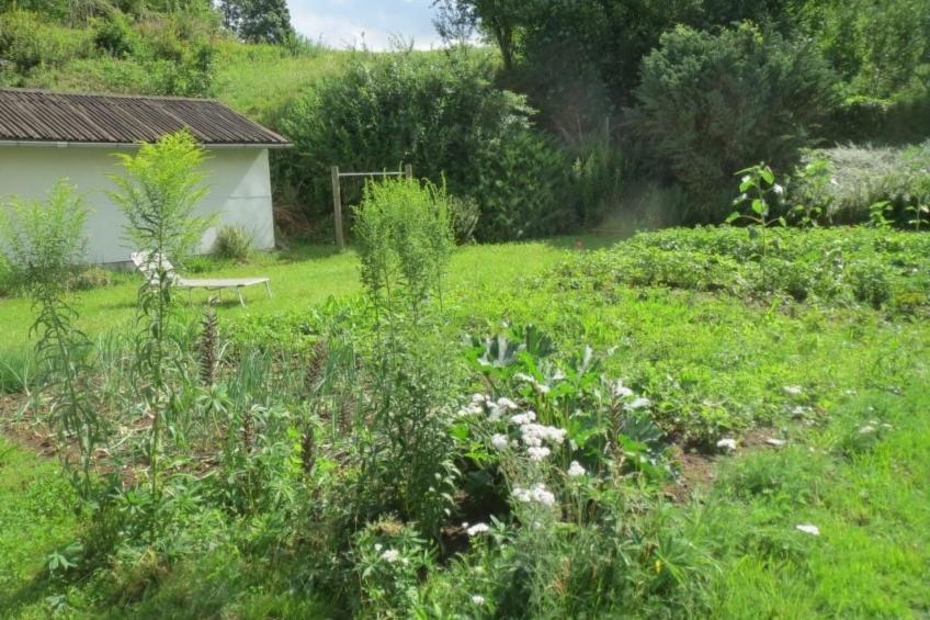 in ruhiger Lage in der Nähe zahlreicher Wanderro - foto 11