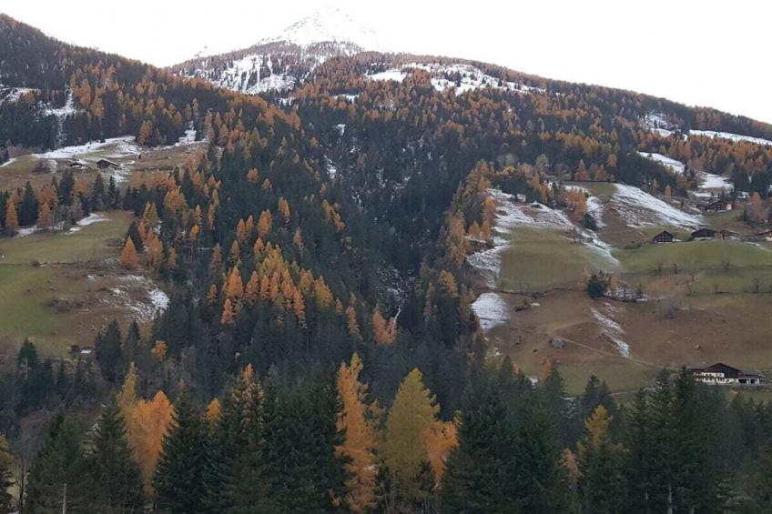 464651 - foto 14