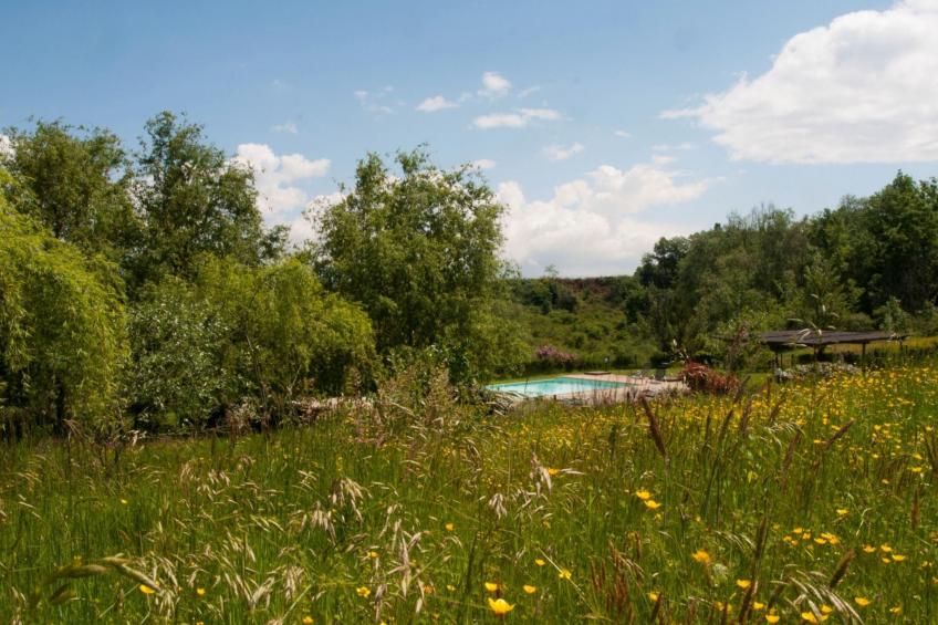 Wohnung in Figline Valdarno mit Gemeinschaftspool - foto 27