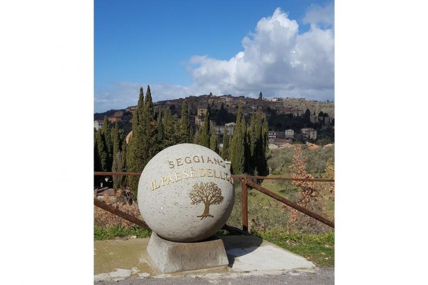 237535 - foto 2