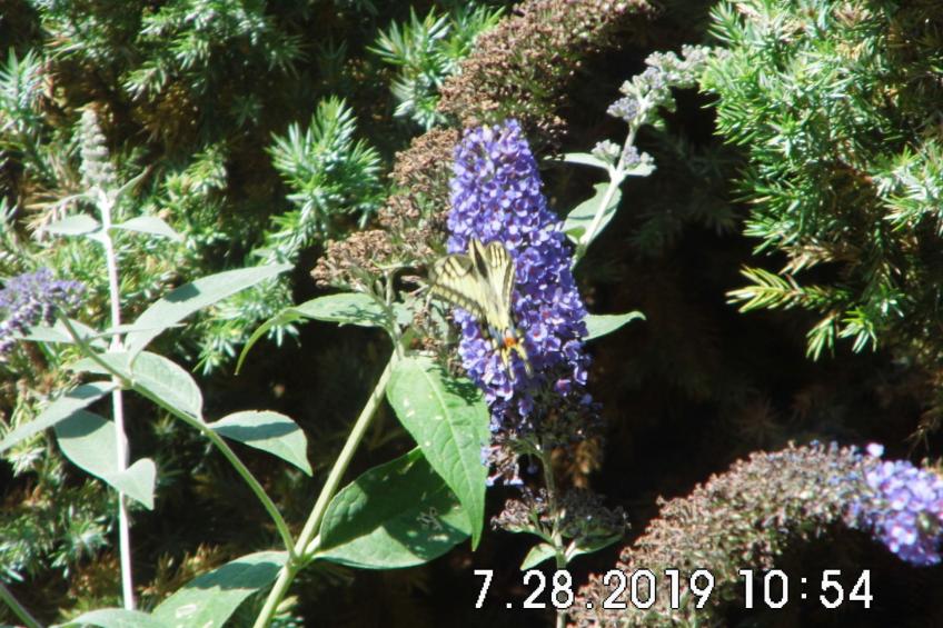 am malerischen Nepperminer See - foto 28