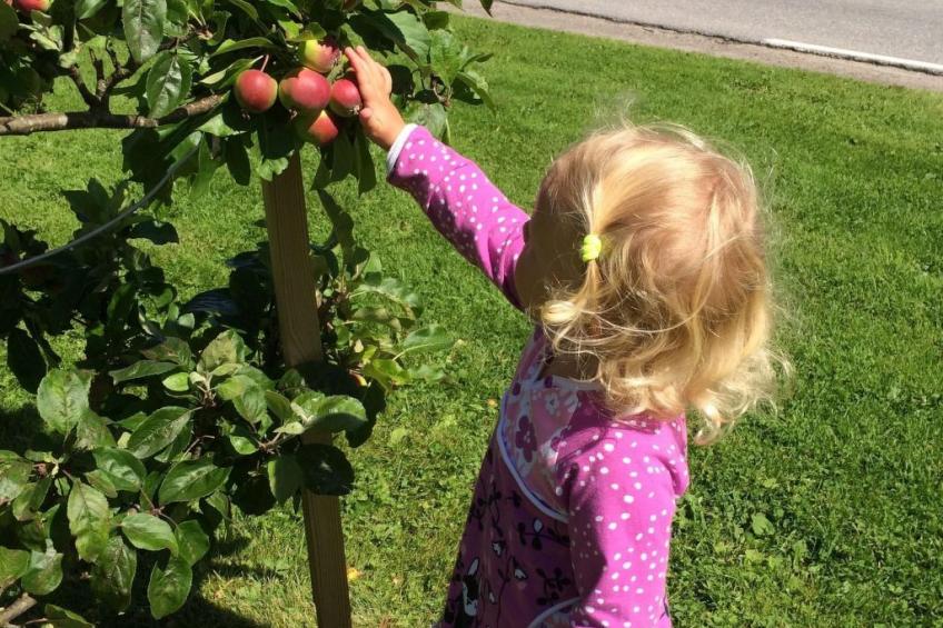 mit Blick auf das Wasser - foto 35