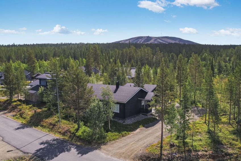 Tuulenpuuska - foto 4