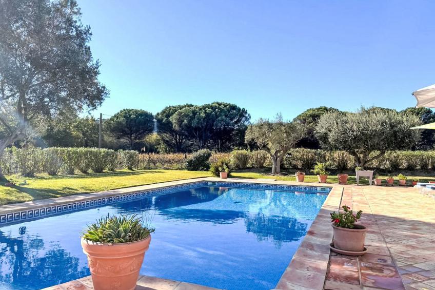 Le Grand Pin - foto 21