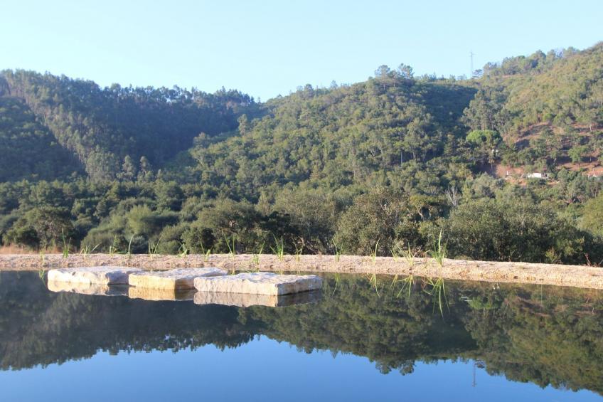 "The Natural Elements" - foto 22