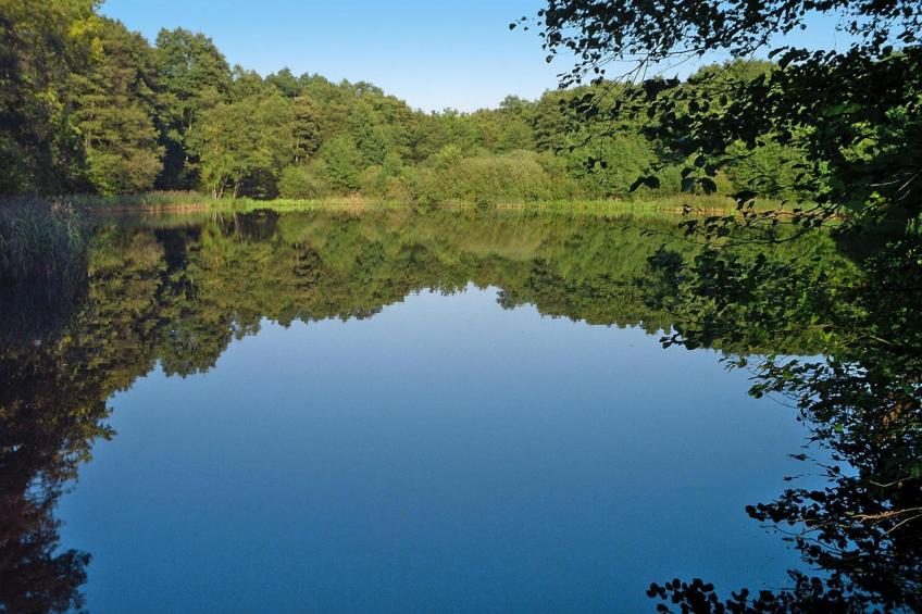 Bungalow , Parchim - foto 16