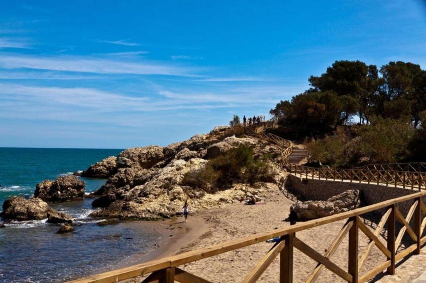 Nomad Harmonia - foto 22