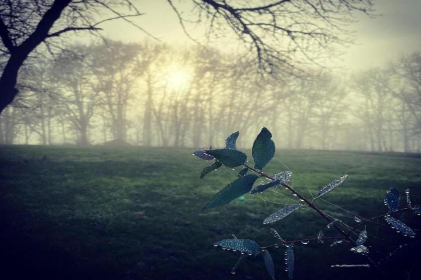 La Chaumière - foto 37