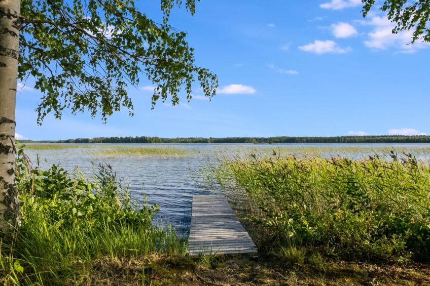 Kekkola - foto 25