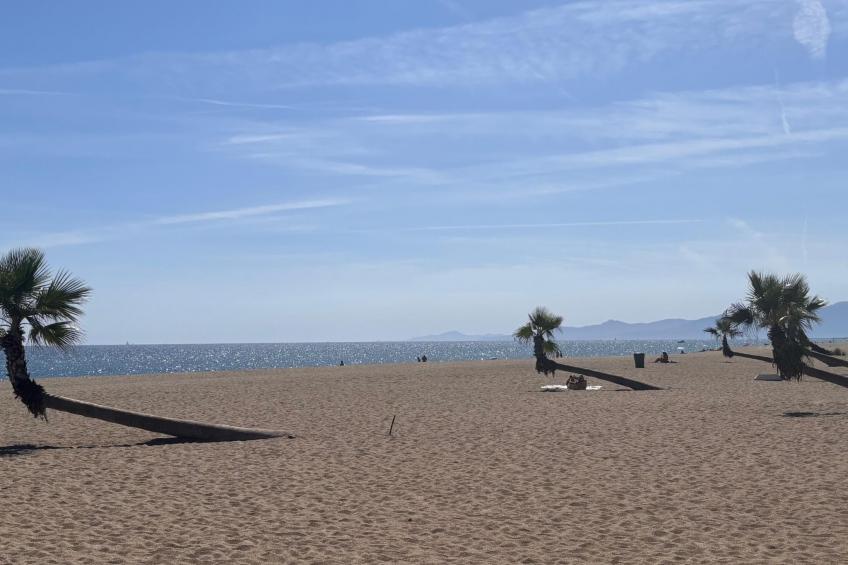 The Olive Retreat - foto 29