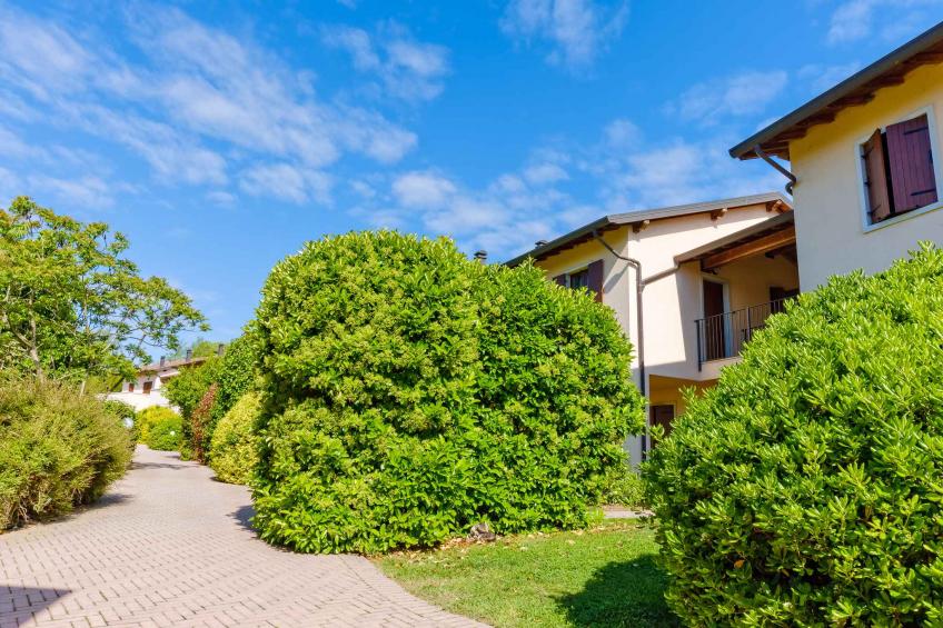 Holiday apartment With golf course - BF-9D8V - foto 14