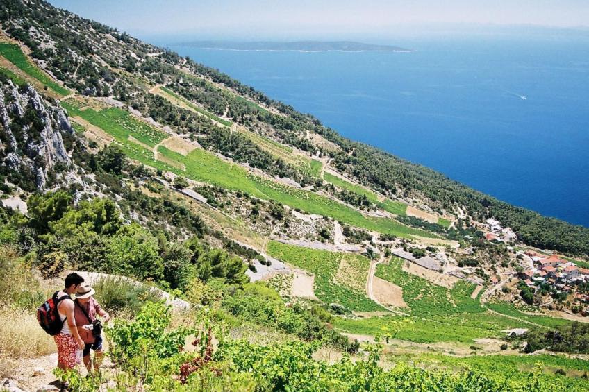 Wohnung im Hochparterre - foto 33