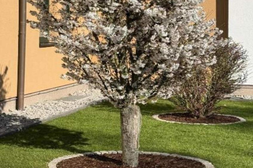 Standard Double Room - foto 20