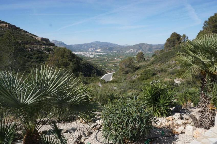 Casa Palmera - foto 23