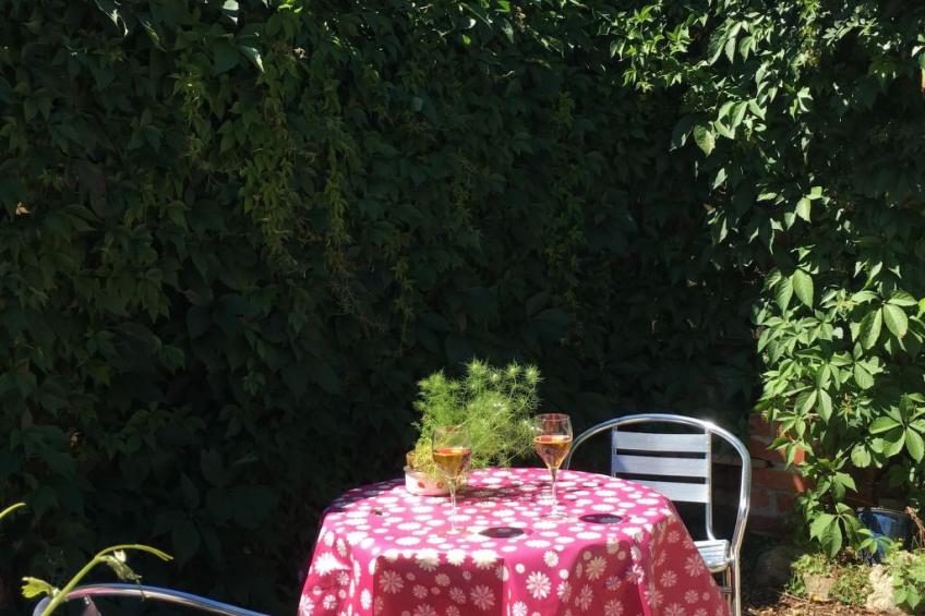 Löwenzahn mit Holu - foto 17