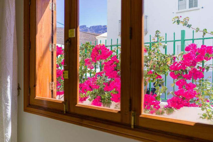 Agaete Pupe Home by Canariasgetaway - foto 53