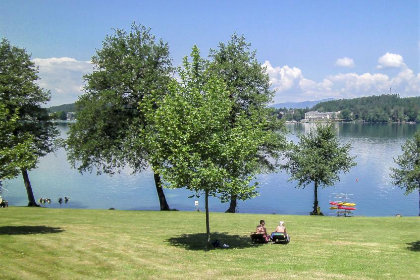 Laube - foto 13