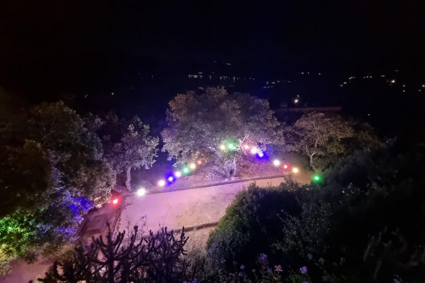 Villa Sallena - foto 35
