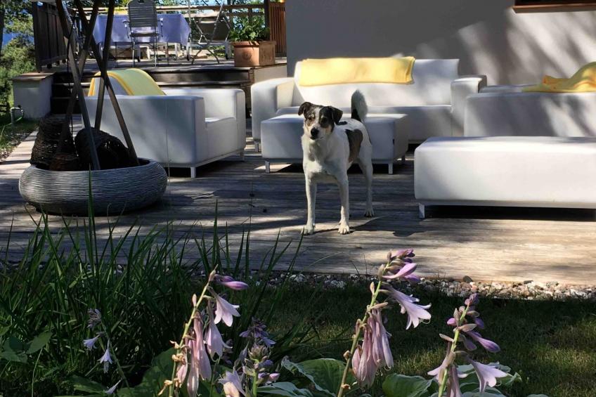 Chalet "Rennweg 114" mit Sauna - foto 56