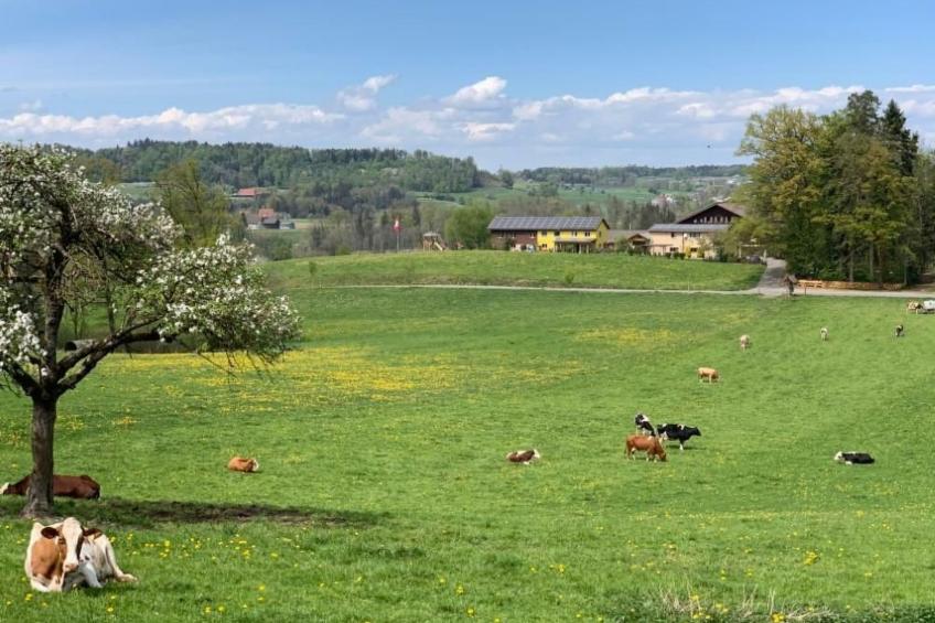 Rehalp Westen - foto 16