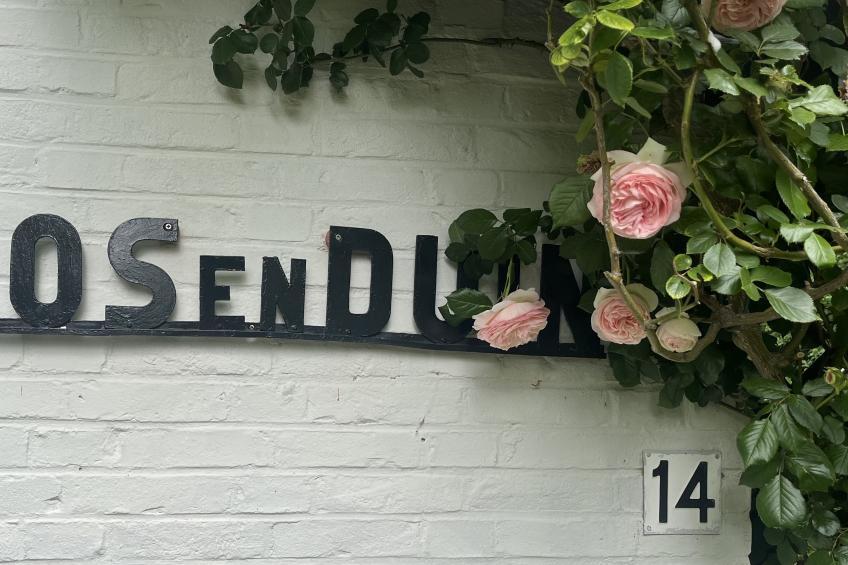 Familyhouse - Vebenabos 14 | Dishoek "Bos en Duin" - foto 25