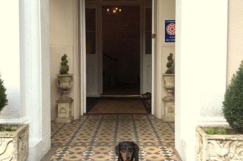 Große Wohnung in viktorianischer Villa - foto 22