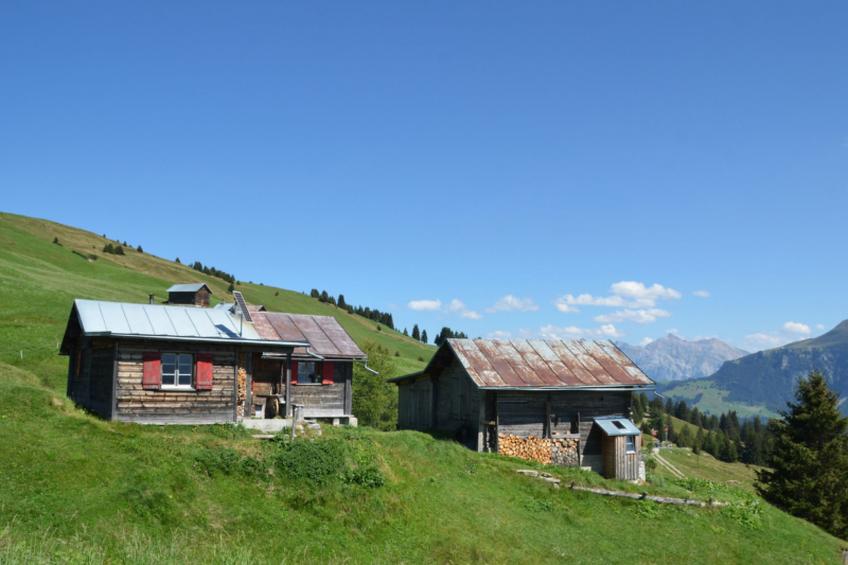 Maiensäss Dros, (Mathon). - foto 10