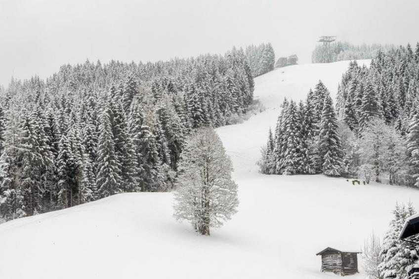 Penthousewohnung Wagrain - Top 17 - foto 27