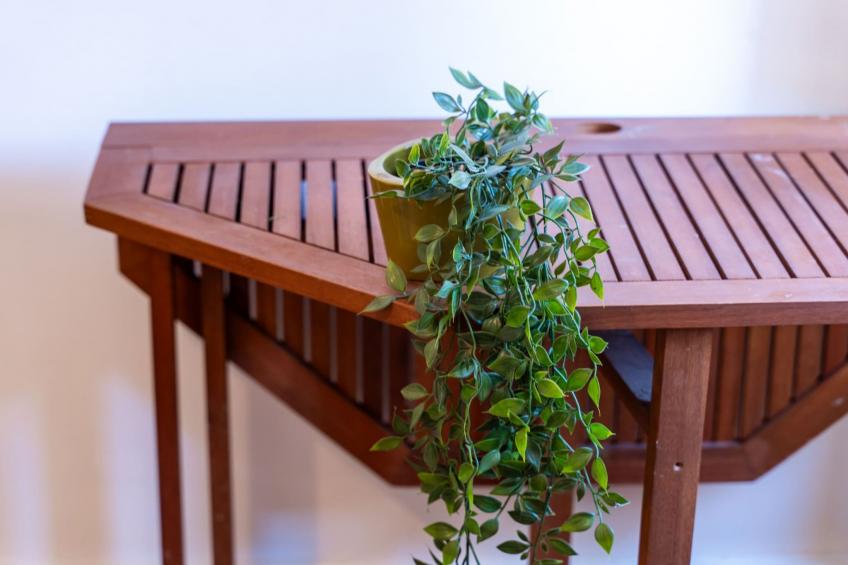 Ranch House Zora - One Bedroom Ranch House - foto 46