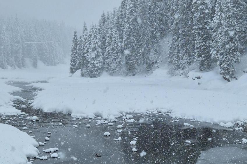 Wohnung Bella vista & Alp'sport - foto 37