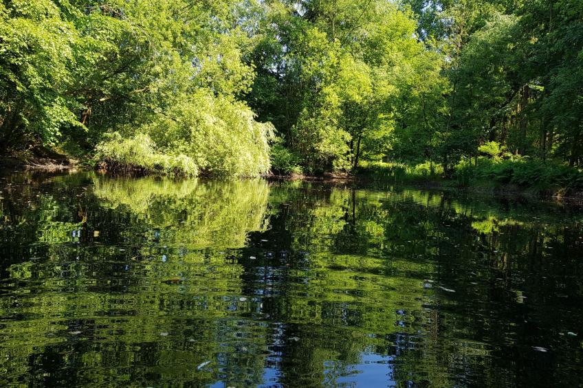 Luxuszeit zu Zweit - foto 40