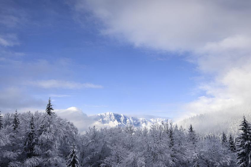 Am Obersalzberg - foto 33